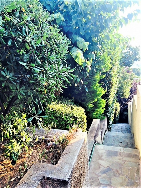 SubstandardFullSizeRender (9).jpg